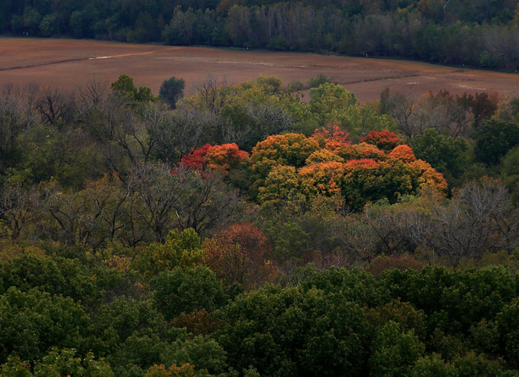 Fall foliage on the Great River Road in Pere Marquette State Park